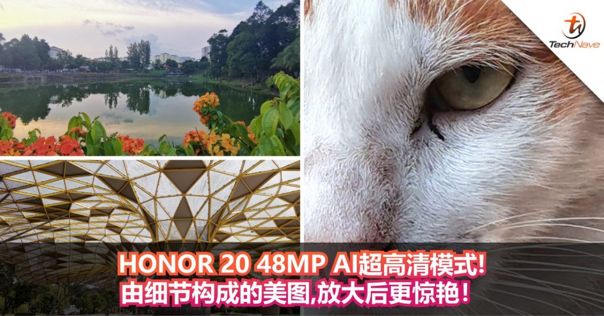48MP HONOR 20 AI超高清模式底下的高清世界！由细节构成的美图，放大后让你更惊艳！