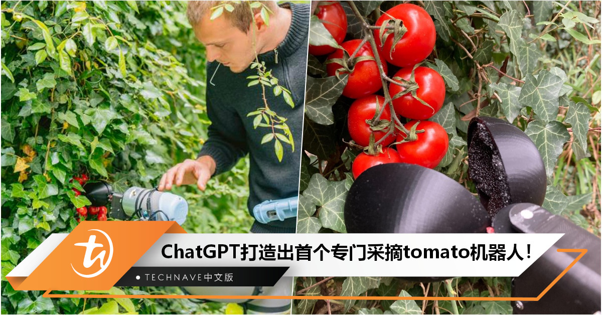 AI无限可能！人类与ChatGPT合作：设计出首个机器人，专门采摘Tomato！