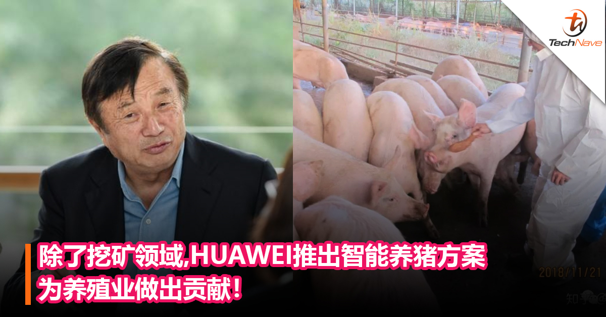任正非：HUAWEI不依靠手机也能存活！除了挖矿领域，HUAWEI推出智能养猪方案，为养殖业做出贡献！