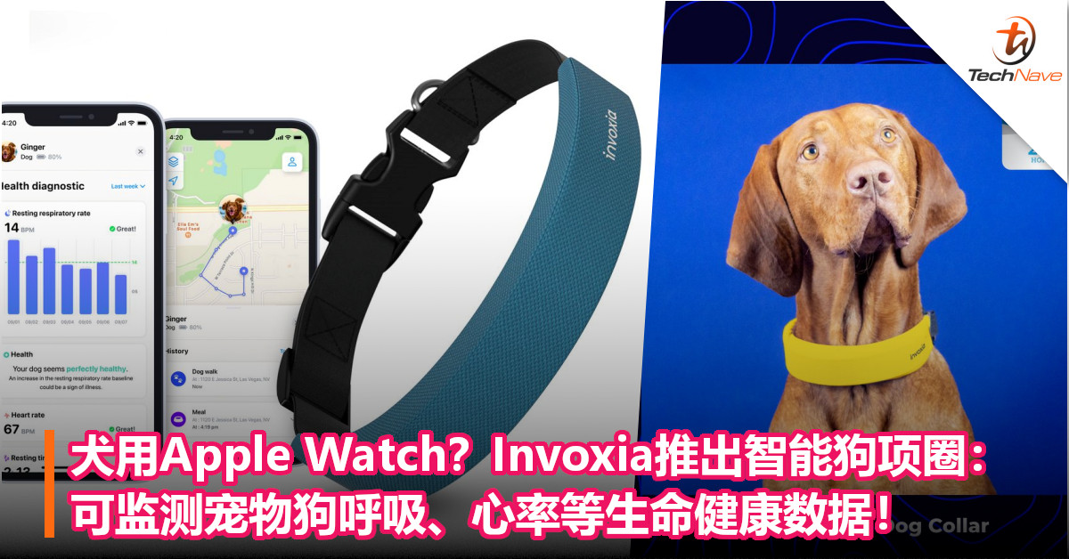 犬用Apple Watch？Invoxia推出智能狗项圈：可监测宠物狗呼吸、心率等生命健康数据！