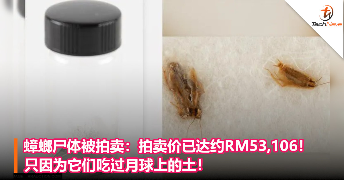 蟑螂尸体被拍卖：拍卖价已达约RM53,106！只因为它们吃过月球上的土！