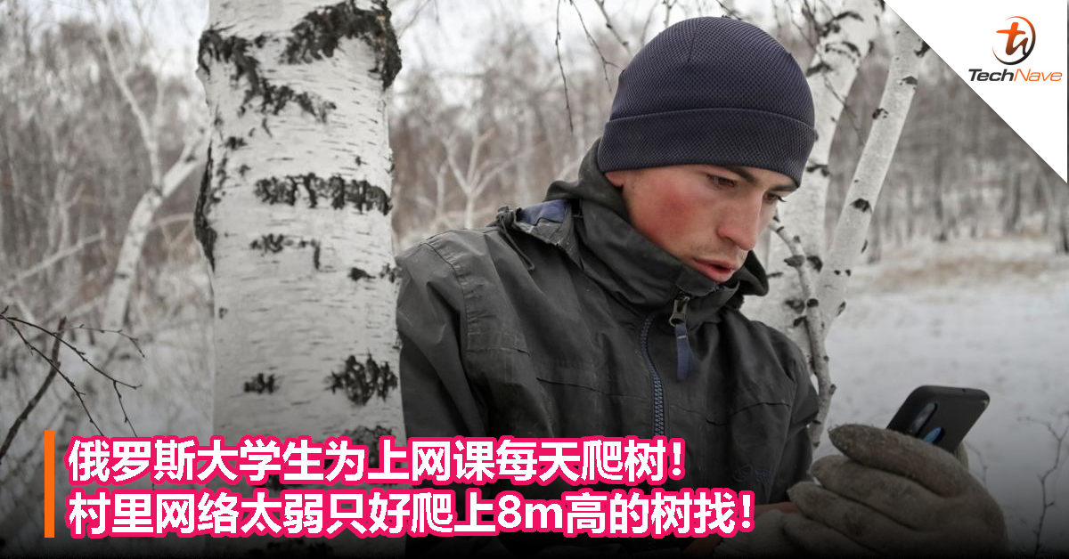 俄罗斯大学生为上网课每天爬树！村里网络太弱只好爬上8m高的树找！