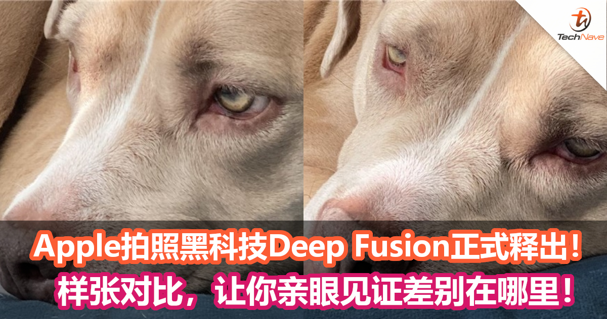 Apple拍照黑科技Deep Fusion正式释出！样张对比来了，让你看清楚差别在哪里！