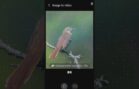 AI Image to Video功能！