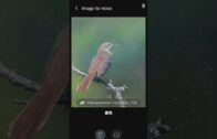 一览所有“证据”细节+5260mAh超长续航！108MP的Xiaomi Mi Note 10居然还能兼职侦探？