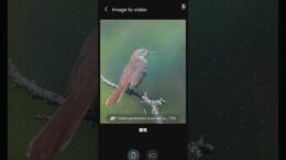 AI Image to Video功能！