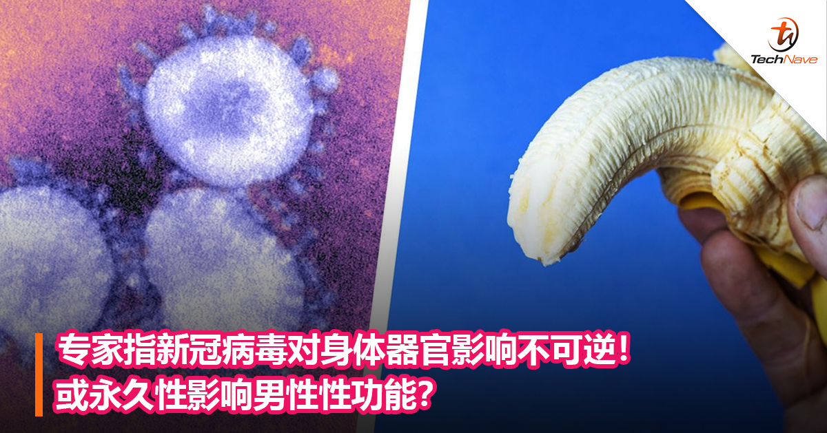 专家指新冠病毒对身体器官影响不可逆！或永久性影响男性性功能？