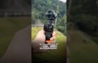 DJI OSMO POCKET 4P 终于来啦‼️
