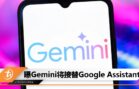 gemini