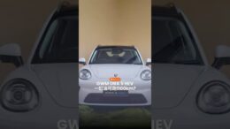 GWM ORA 5 HEV 来袭了！