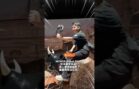 这次真的把手机防抖玩大了！HONOR Robot Phone实测！