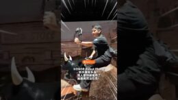 这次真的把手机防抖玩大了！HONOR Robot Phone实测！