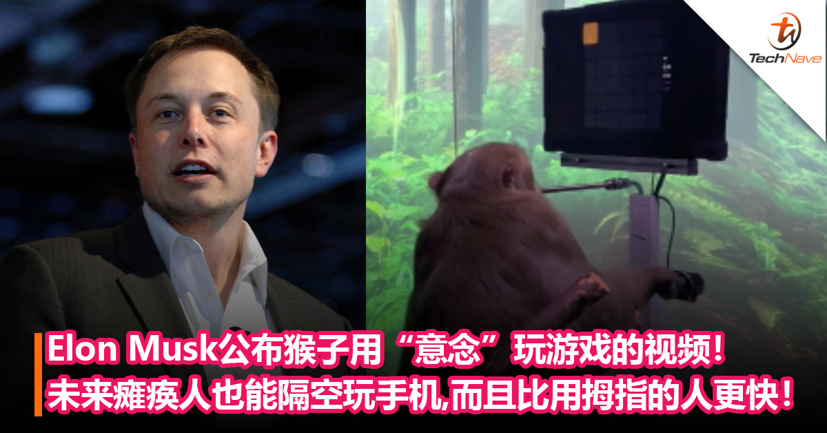 Elon Musk公布猴子用 “意念”玩游戏的视频！未来人瘫痪也能隔空玩手机！而且比用拇指的人更快！