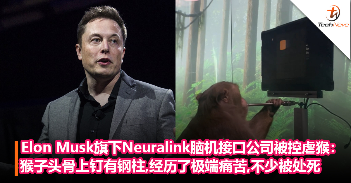 Elon Musk旗下 Neuralink脑机接口公司被控虐猴：猴子头骨上钉有钢柱，经历了极端痛苦，不少被处死