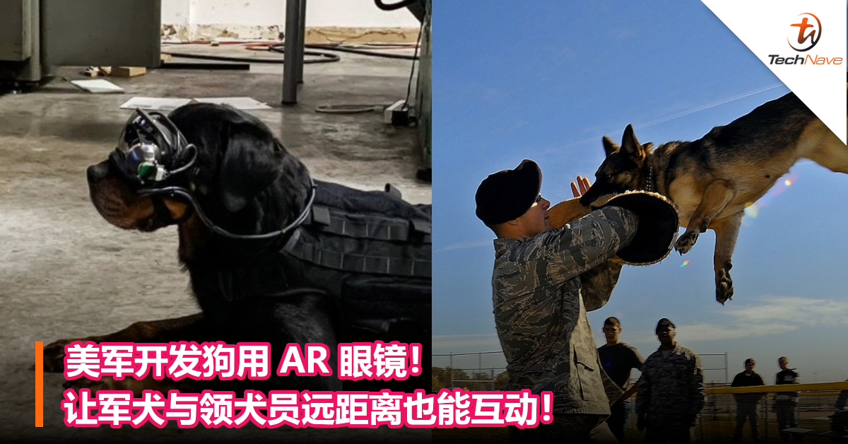 美军开发狗用 AR 眼镜！让军犬与领犬员远距离也能互动！