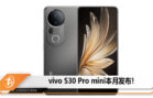 vivo s30 pro mini