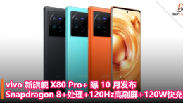 vivo 新旗舰 X80 Pro+ 曝 10 月发布，搭载 Snapdragon 8+处理+120Hz高刷屏+120W快充