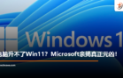 win11
