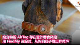 给宠物戴 AirTag 存在意外吞食风险！用 FindMy 追踪时，从狗狗肚子发出哔哔声