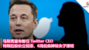 马斯克宣布卸任 Twitter CEO：特斯拉股价立刻涨！6周后由神秘女子接班